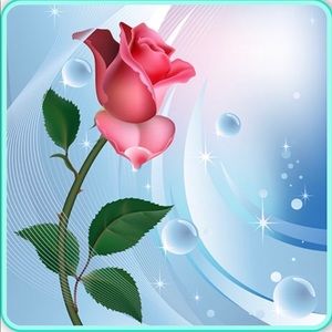 Meet your Posher, Parastou